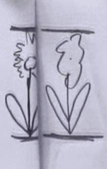 Original drawing and Geller's reproduction