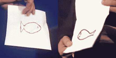 Geller's reproduction of El Al pilot's drawing of a fish