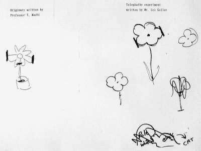 Professor Machi's riginal drawing and Geller's reproduction