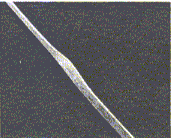 Reader's gellerized nail file